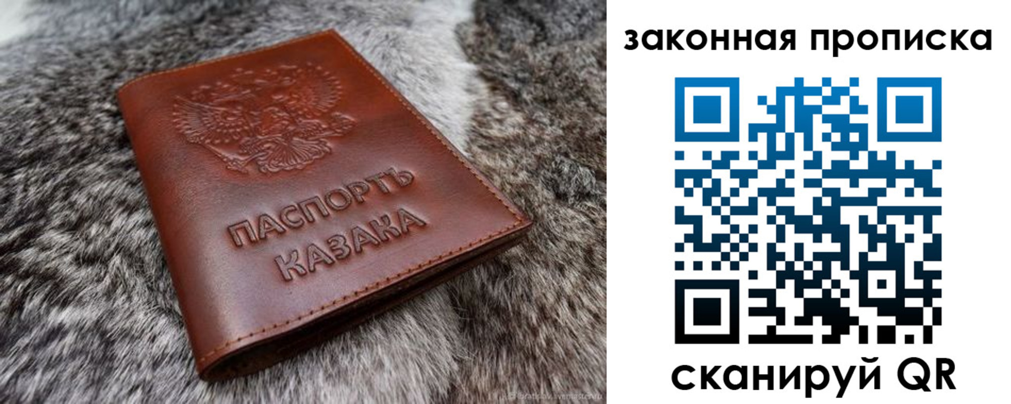 прописка в Фрязино
